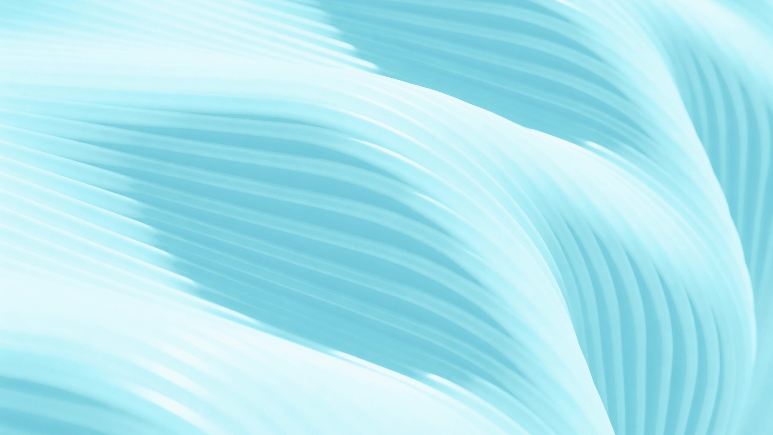 Daňové poradenství